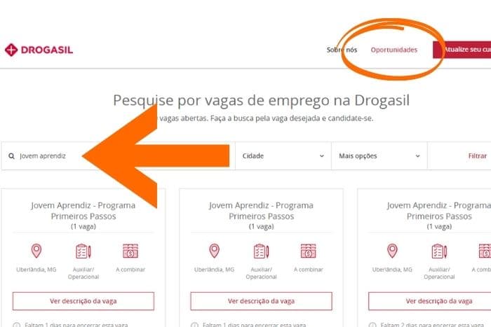 Jovem Aprendiz Brasil - Jovem Aprendiz Drogasil