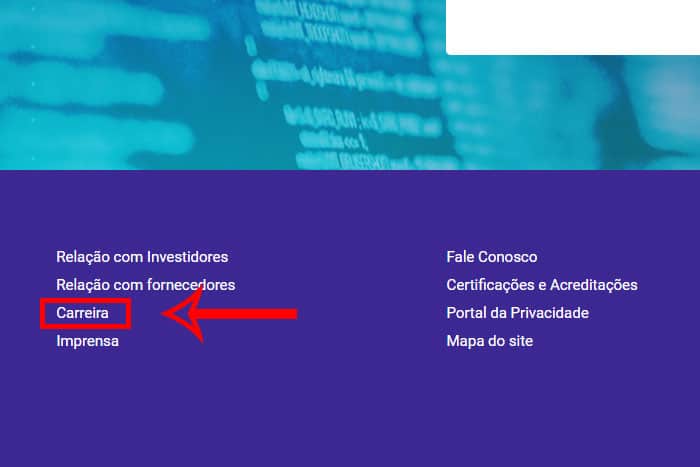 Mentor Profissional Jovem Aprendiz Dasa corpo1