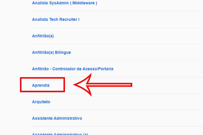 Mentor Profissional Jovem Aprendiz Dasa corpo2