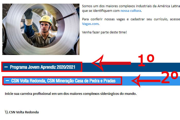 Mentor Profissional Jovem Aprendiz CSN corpo2