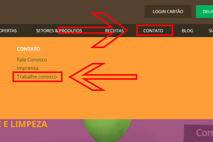Mentor Profissional Jovem Aprendiz Hortifruti corpo1