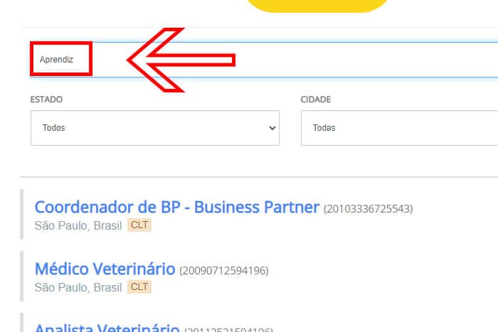 Mentor Profissional Jovem Aprendiz Petz corpo2