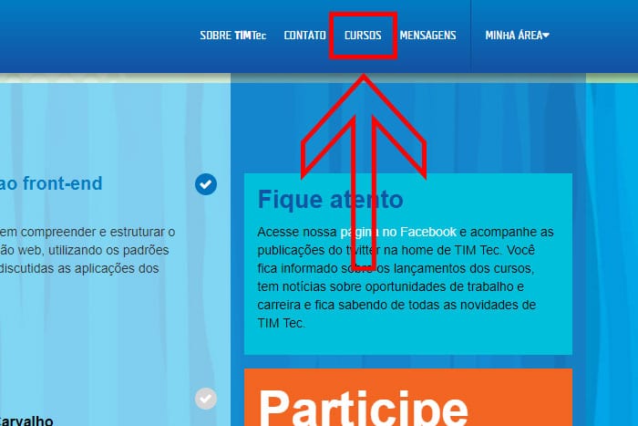Mentor Profissional Cursos Gratuitos Tim Tec corpo1