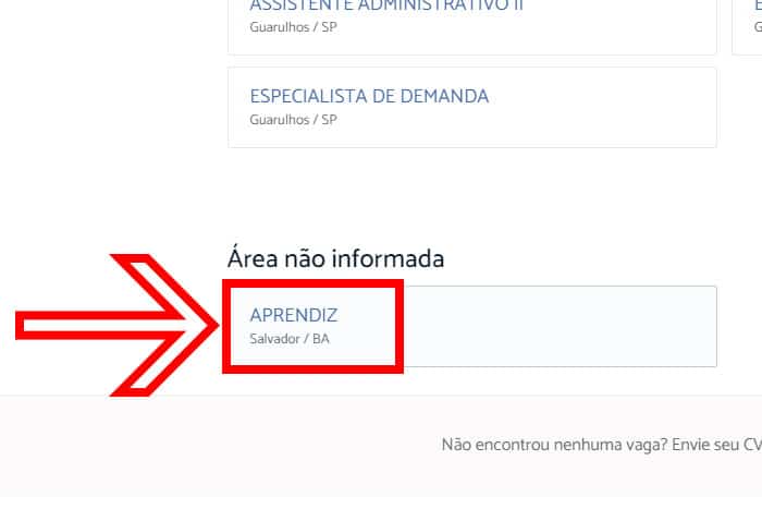 Mentor Profissional Jovem Aprendiz FTD Educação corpo1