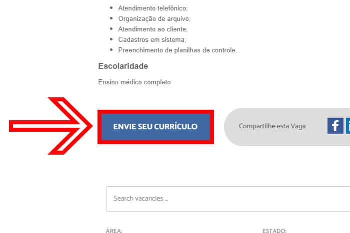 Mentor Profissional Jovem Aprendiz FTD Educação corpo2