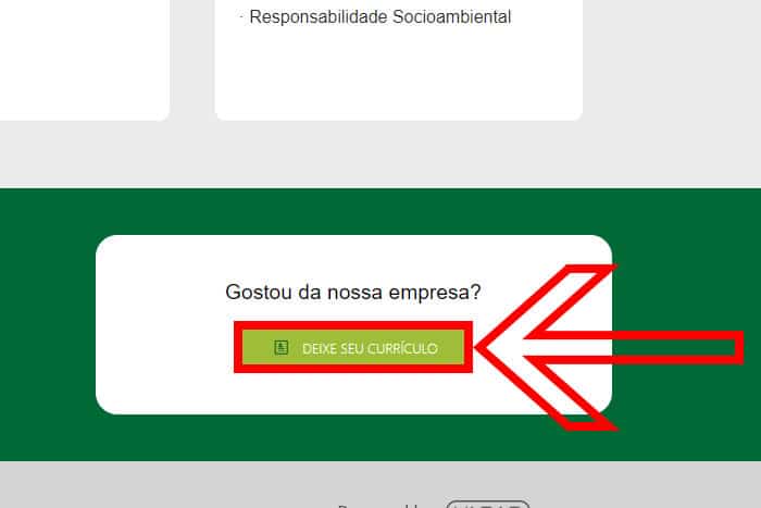 Mentor Profissional Jovem Aprendiz Grupo Solvi corpo2