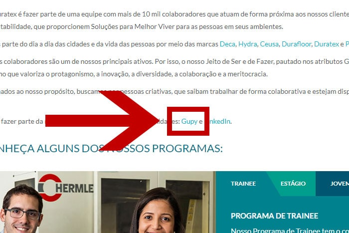 Mentor Profissional Jovem Aprendiz Duratex corpo1