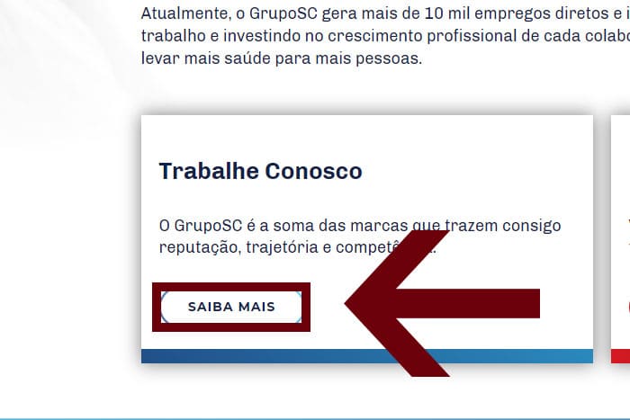 Mentor Profissional Jovem Aprendiz Grupo SC corpo1