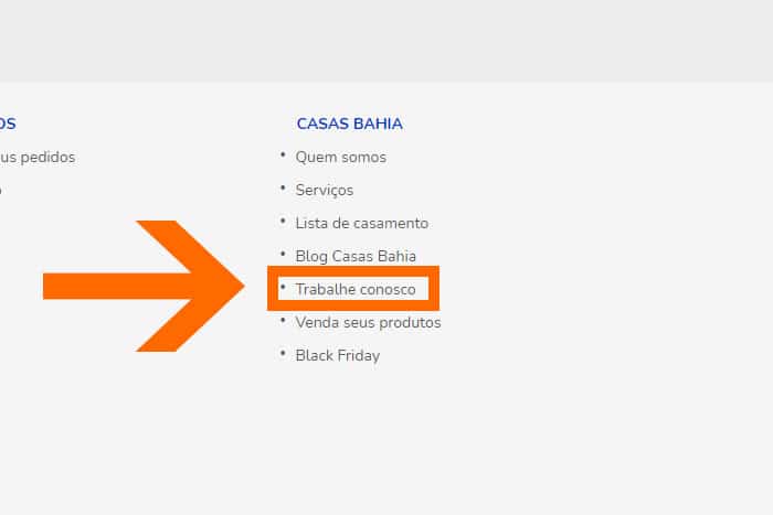 Mentor Profissional Jovem Aprendiz Casas Bahia corpo