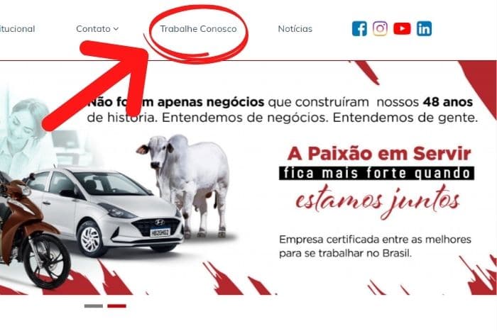 Mentor Profissional - Jovem Aprendiz Grupo Cometa