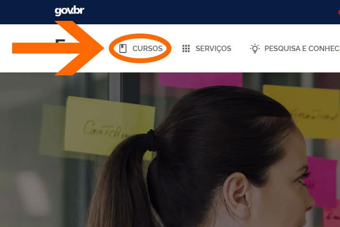 Mentor Profissional Cursos Gratuitos Enap corpo