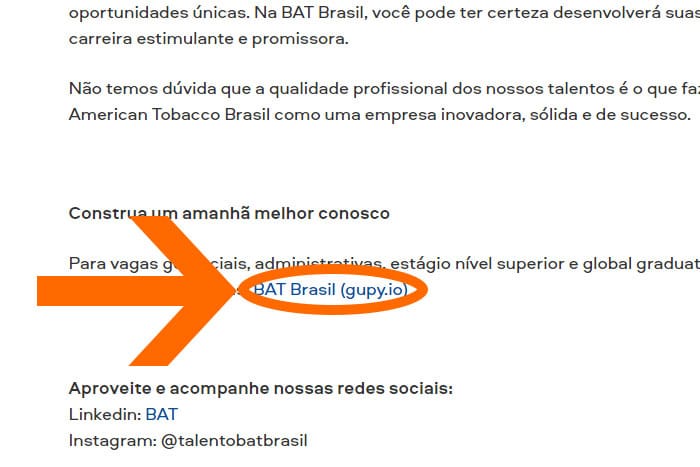 Mentor Profissional Jovem Aprendiz Bat Brasil corpo1