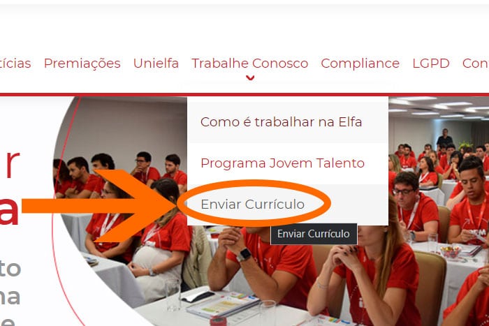 Mentor Profissional Jovem Aprendiz Grupo Elfa corpo1