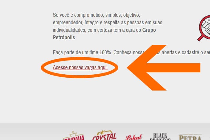 Mentor Profissional Jovem Aprendiz Grupo Petrópolis corpo1