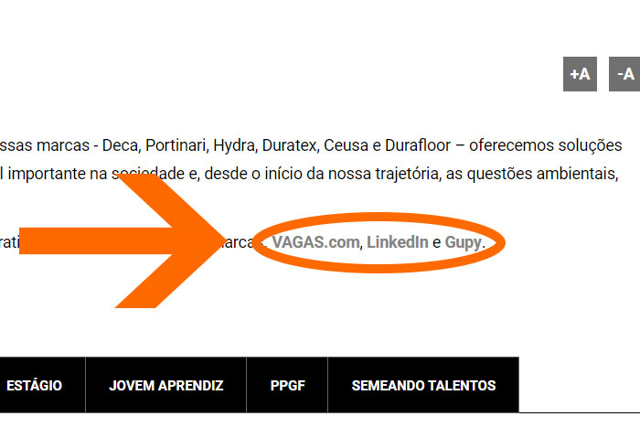 Mentor Profissional Jovem Aprendiz Duratex corpo1