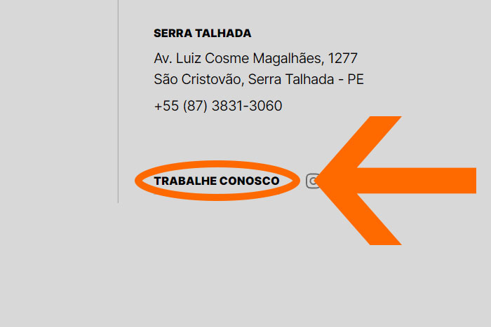 Mentor Profissional Jovem Aprendiz Grupo Referencial corpo