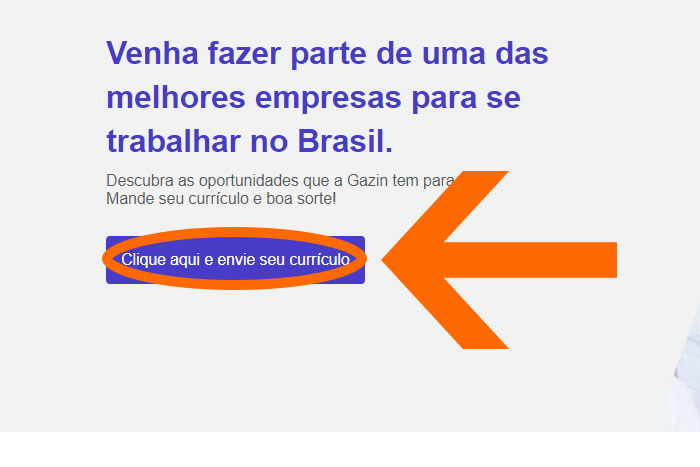 Mentor Profissional Jovem Aprendiz Gazin corpo1