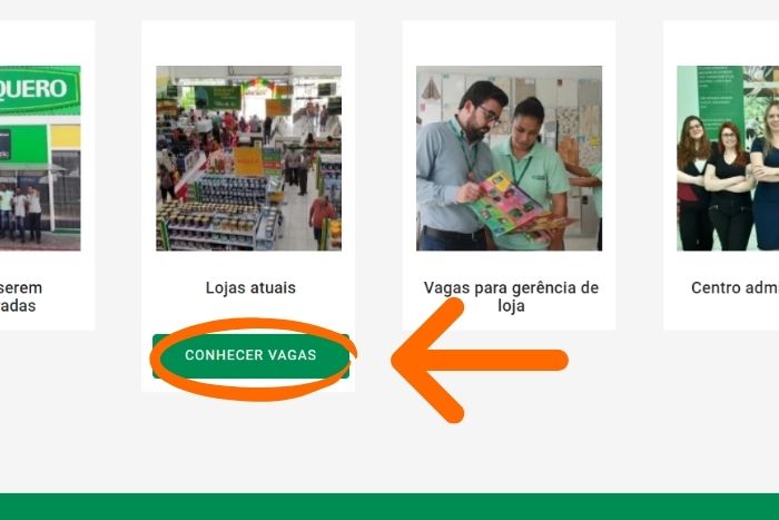 MP - Jovem Aprendiz Lojas Quero-Quero corpo 1
