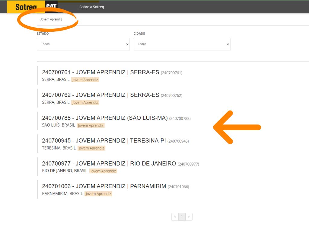 MP - Jovem Aprendiz Grupo Sotreq: terceira imagem do tutorial de inscrição da vaga