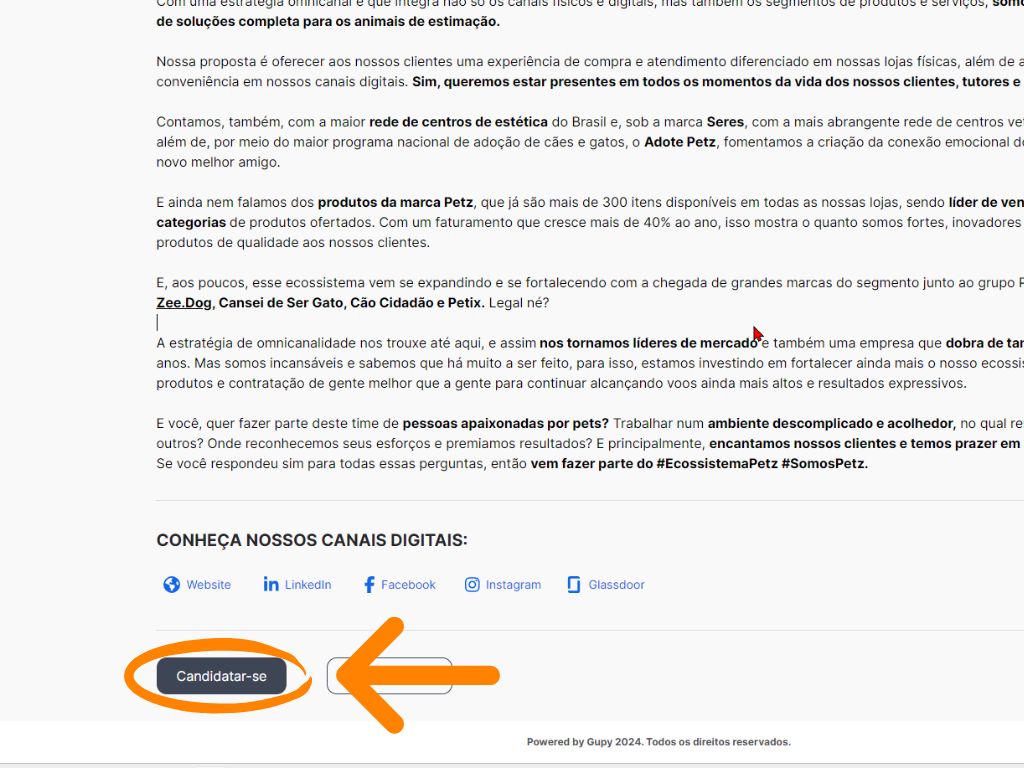 MP - Primeiro Emprego Petz Operador de Caixa corpo: Segunda imagem do tutorial de inscrição da vaga