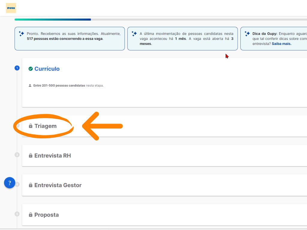 MP - Primeiro Emprego Petz Operador de Caixa corpo: Quarta imagem do tutorial de inscrição da vaga