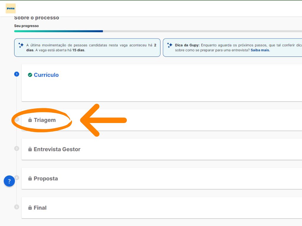 MP - Primeiro Emprego Petz Repositor de Loja: quarta imagem do tutorial de inscrição da vaga